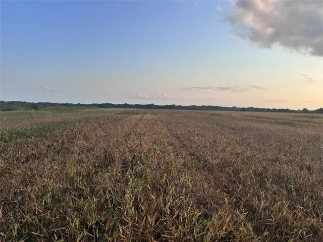 a view of an ocean beach and mountain