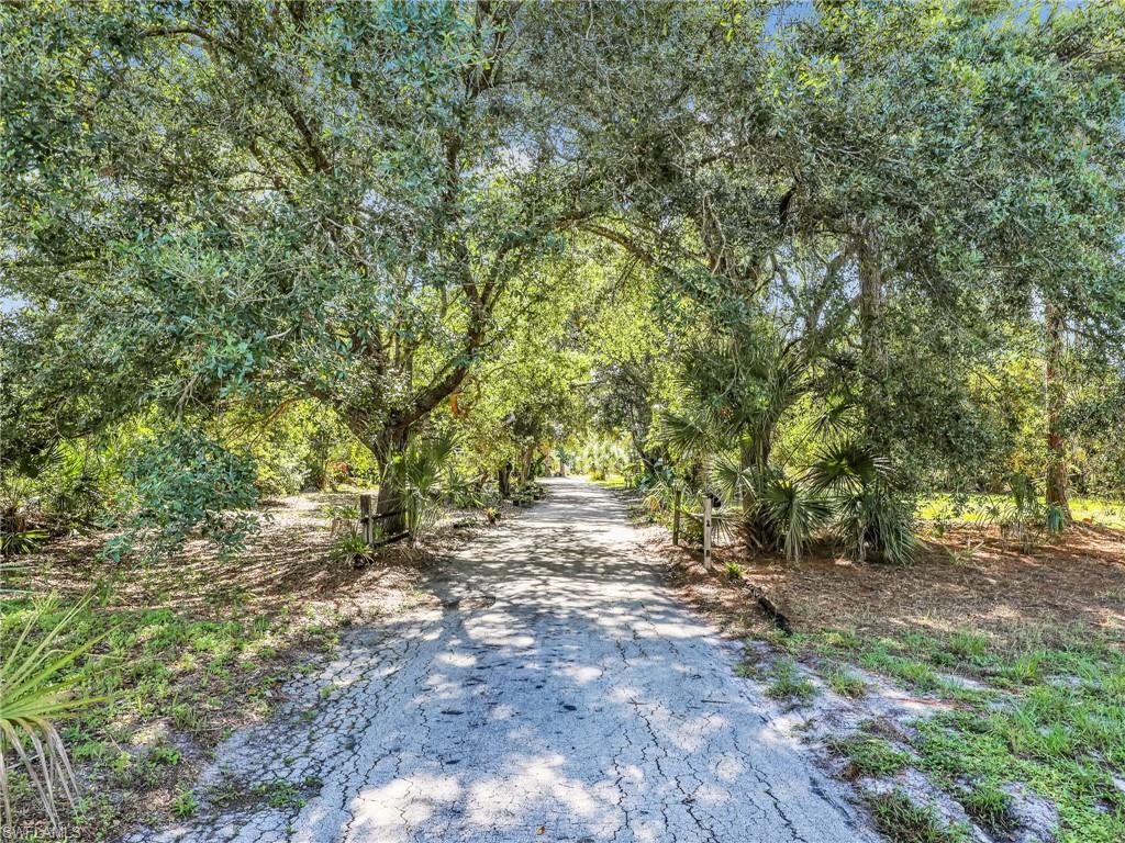 210 25th Street Southwest Naples, FL 34117 - Photo 30 of 33 View of road with a forest view
