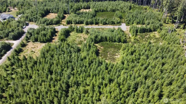 $85,000 | 9999 King Johns-lot 2 Crow Sp Way Forks, Forks, WA 98331