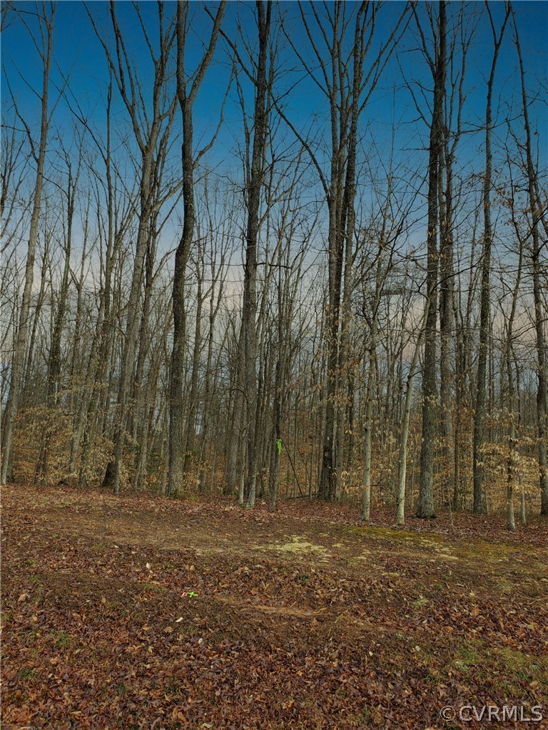 0 Raven Road Bumpass, VA 23024 - Photo 4 of 11 a view of a yard with trees