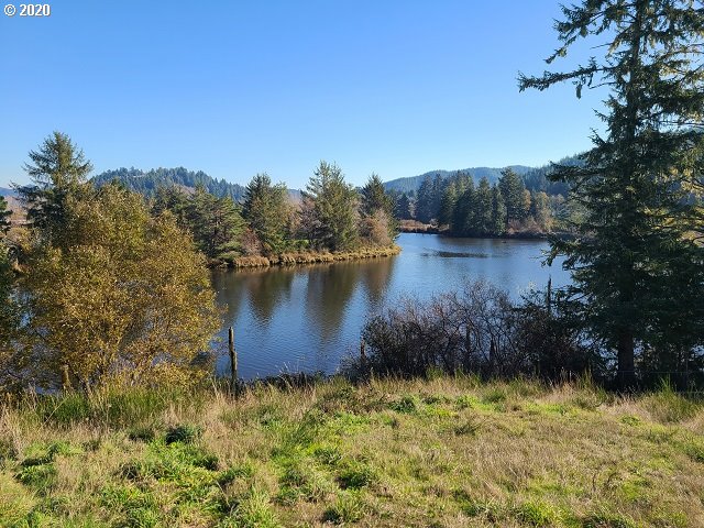 0 Winchester Avenue Reedsport, OR 97467 - Photo 5 of 12 Gallery Image 5