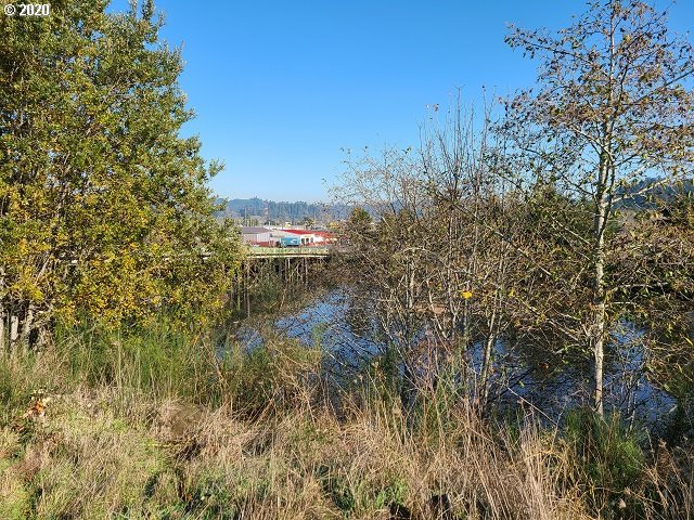 0 Winchester Avenue Reedsport, OR 97467 - Photo 9 of 12 Gallery Image 9