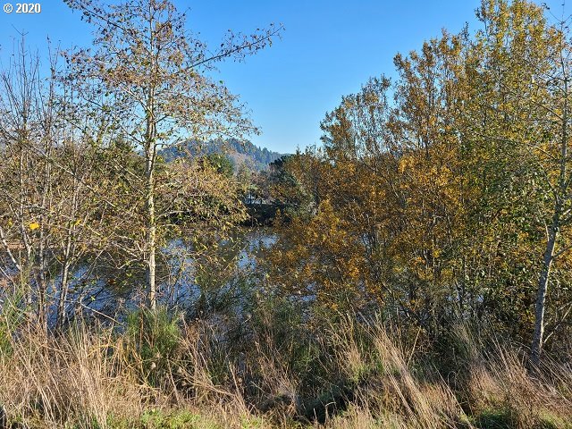 0 Winchester Avenue Reedsport, OR 97467 - Photo 10 of 12 Gallery Image 10