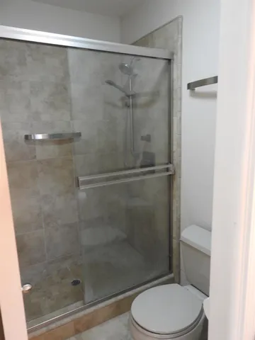 a view of a backyard with plants and plants