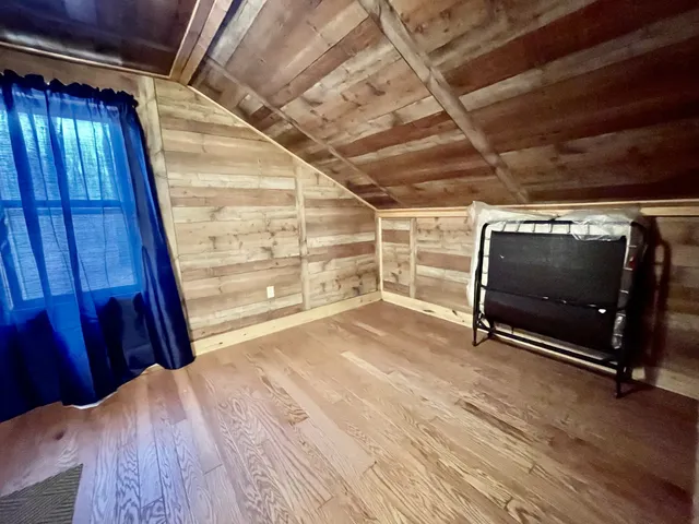 a large tree covered with tall trees