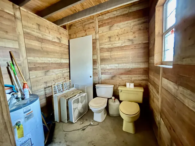 a large tree covered with tall trees