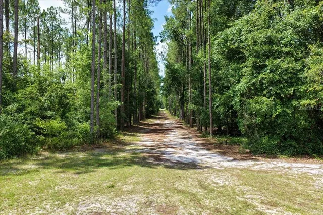 $489,900 | 631 Northwest 172nd Lane, Trenton, FL 32693