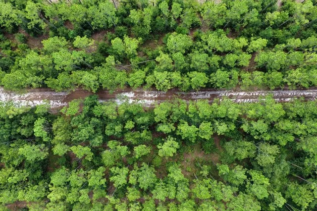 $489,900 | 631 Northwest 172nd Lane, Trenton, FL 32693