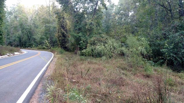 Lot 4 Zellner Road, Unit 4 Forsyth, GA 31029 - Photo 2 of 4 a view of a yard with trees