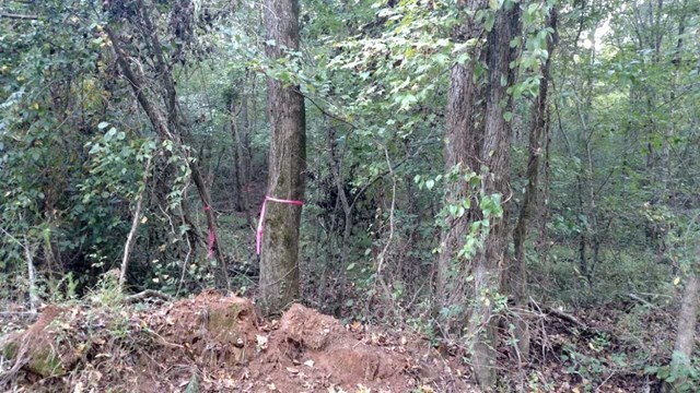 Lot 4 Zellner Road, Unit 4 Forsyth, GA 31029 - Photo 3 of 4 a view of forest