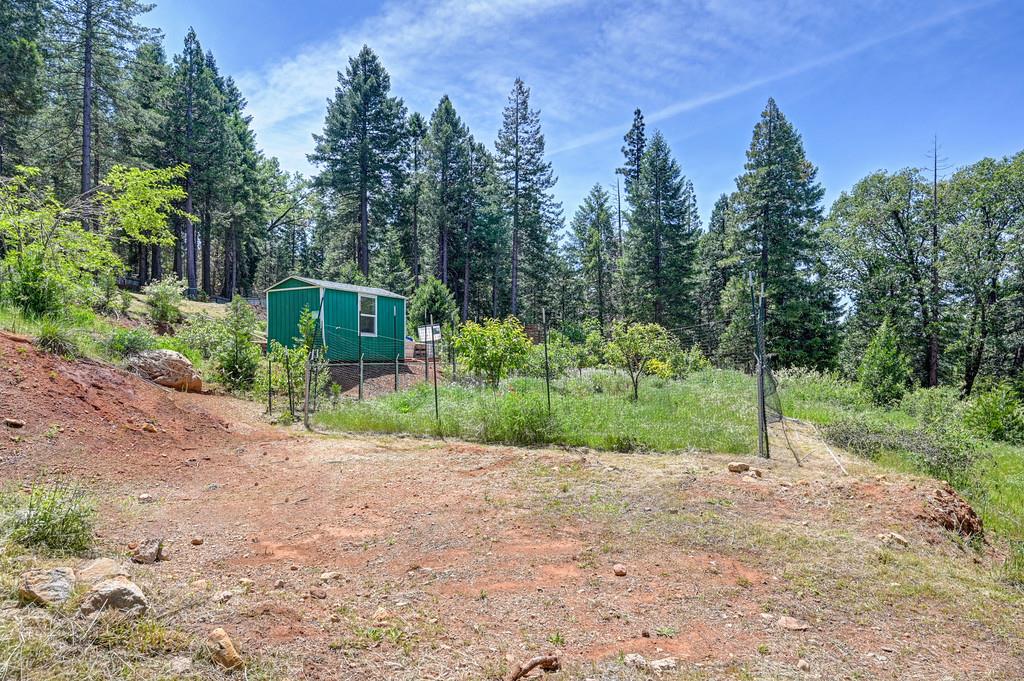 1050 Moody Ridge Road Alta, CA 95701 - Photo 42 of 77