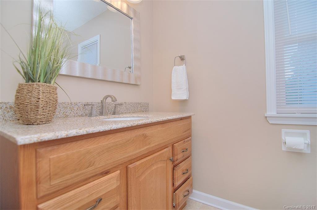 7040 Chelsea Day Lane Tega Cay, SC 29708 - Photo 10 of 24