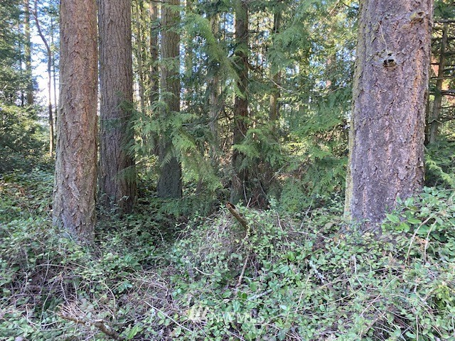 -tbd South Discovery Road Port Townsend, WA 98368 - Photo 3 of 3 Gallery Image 3