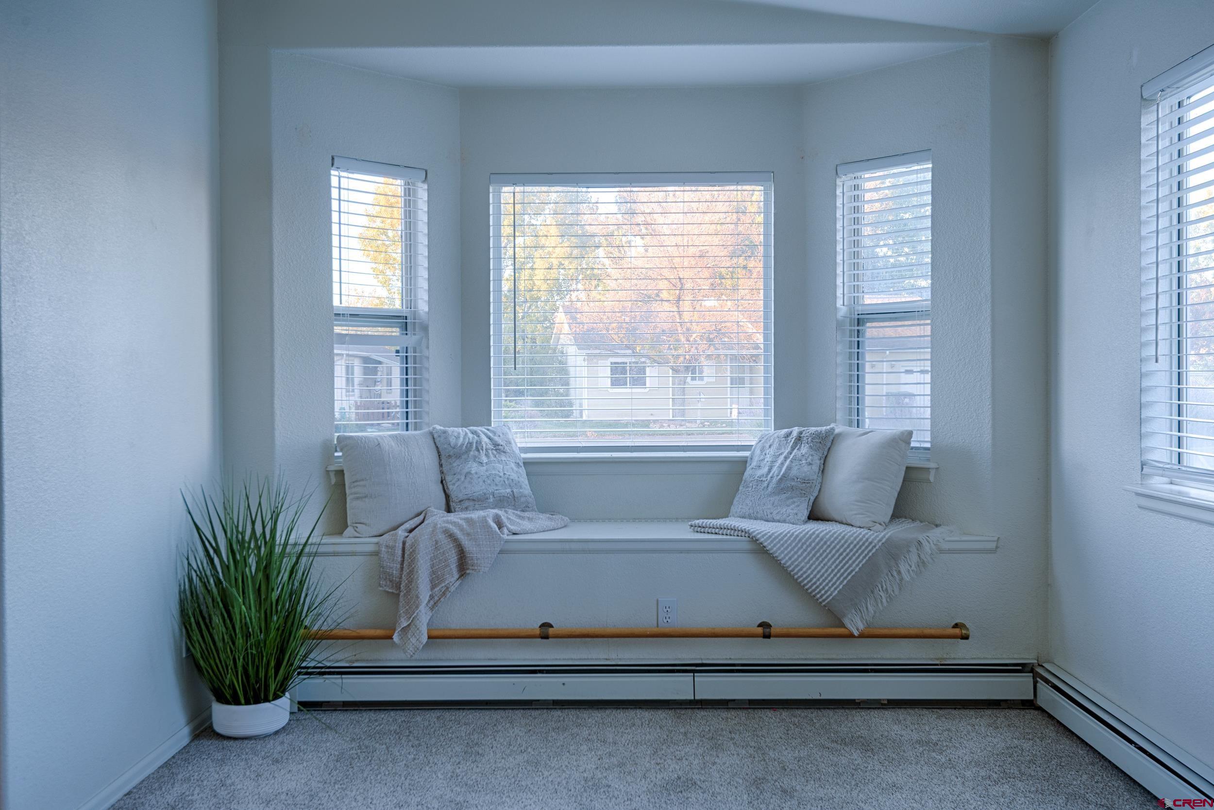 1686 Rheims Court Montrose, CO 81401 - Photo 4 of 18 a living room with furniture and a potted plant