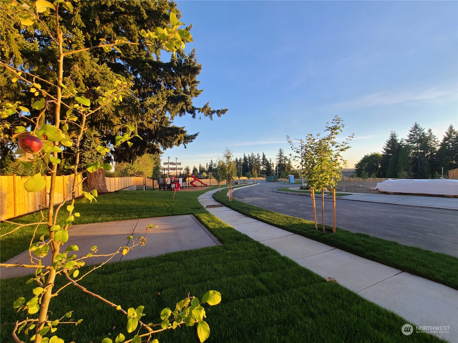 4321 243rd Place Southeast, Unit LOT31 Bothell, WA 98021 - Photo 33 of 35 a view of a park with large trees