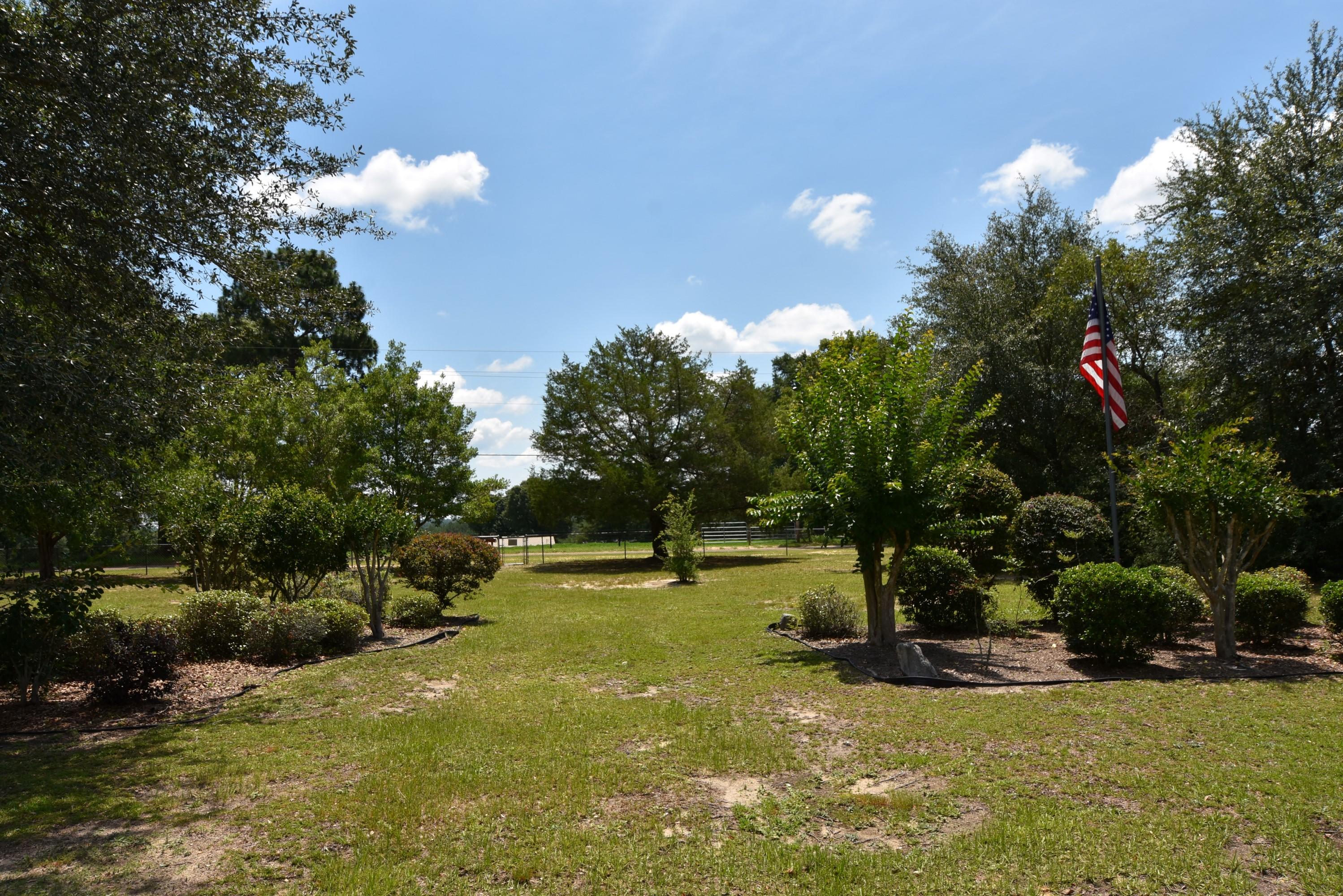 6008 Old Hickory Road Crestview, FL 32539 - Photo 30 of 57 a view of a tree in a yard