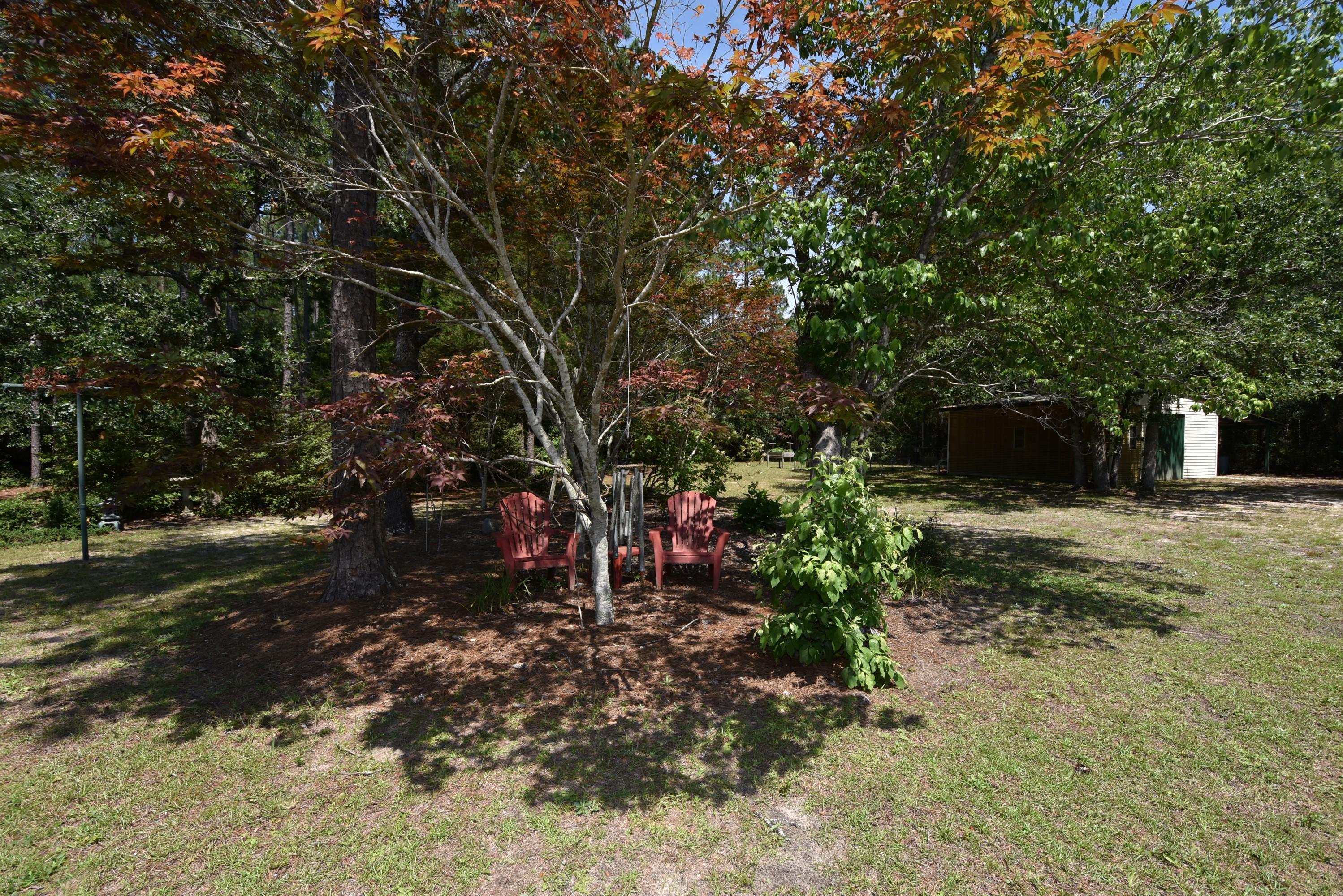 6008 Old Hickory Road Crestview, FL 32539 - Photo 32 of 57 a view of a tree in the middle of a yard