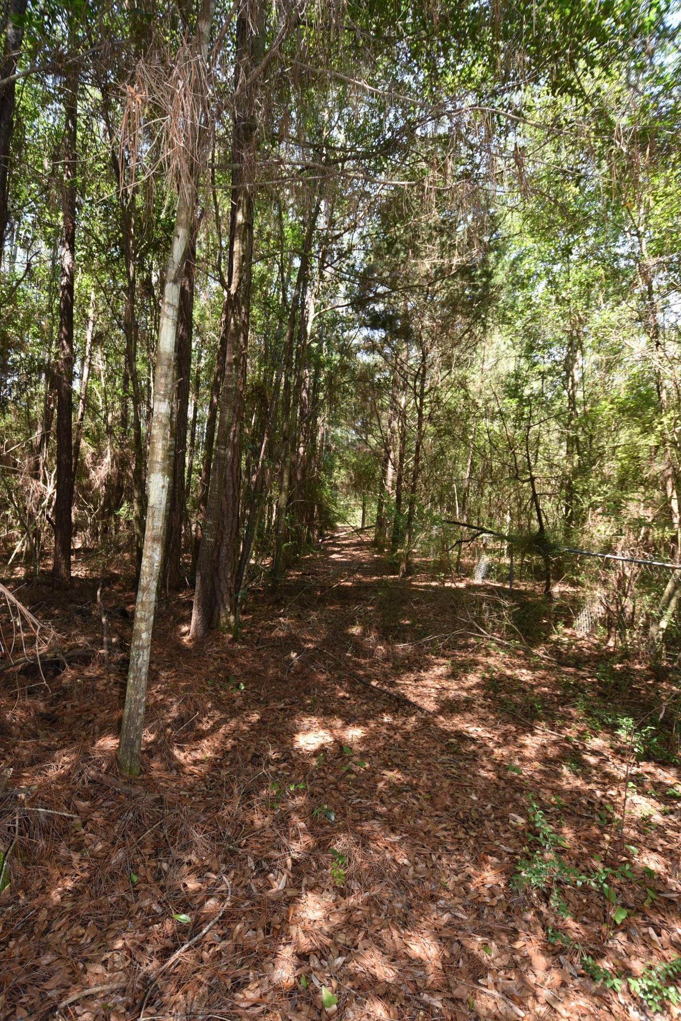 6008 Old Hickory Road Crestview, FL 32539 - Photo 36 of 57 a view of outdoor space with trees