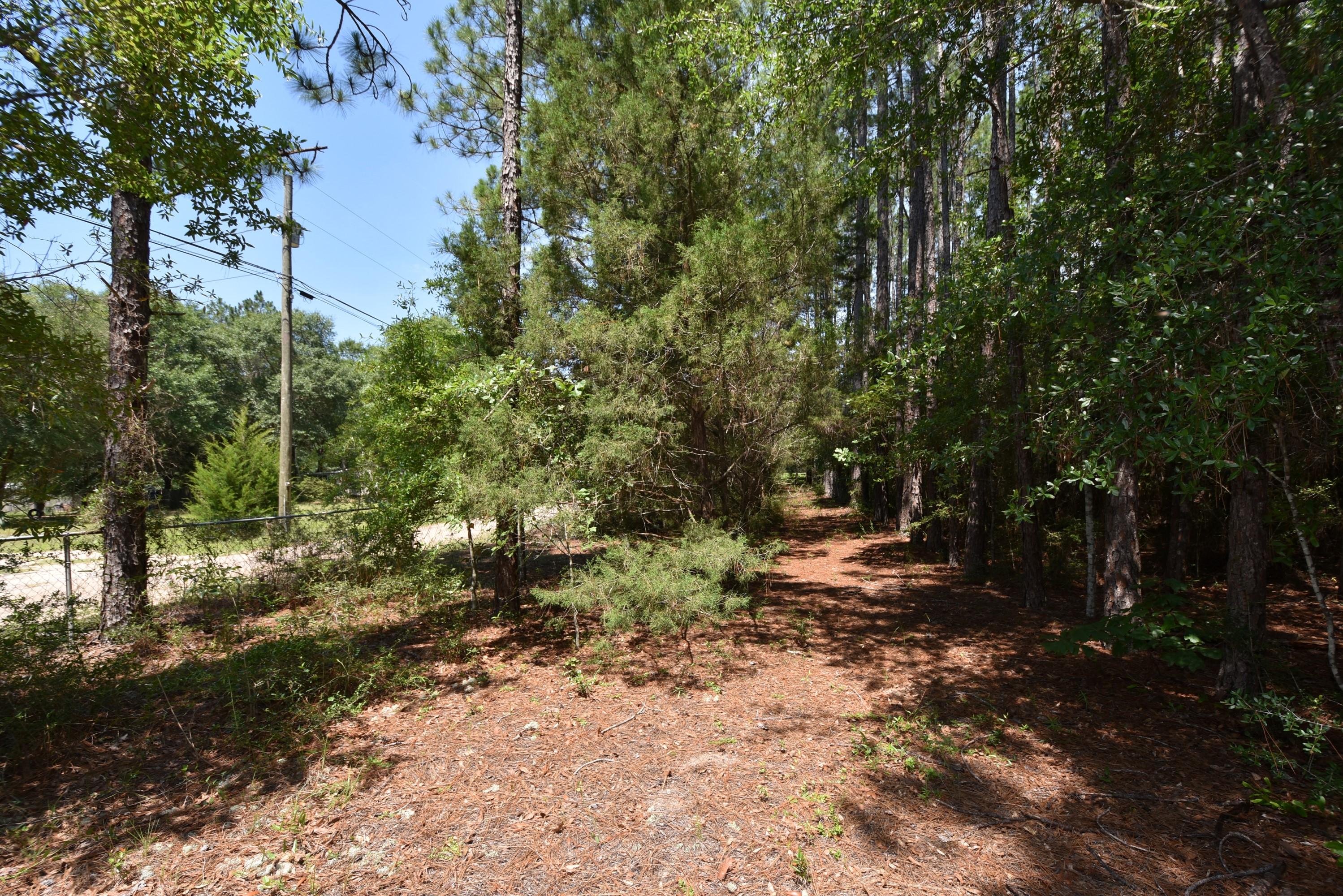6008 Old Hickory Road Crestview, FL 32539 - Photo 44 of 57 a view of a dirt road with trees