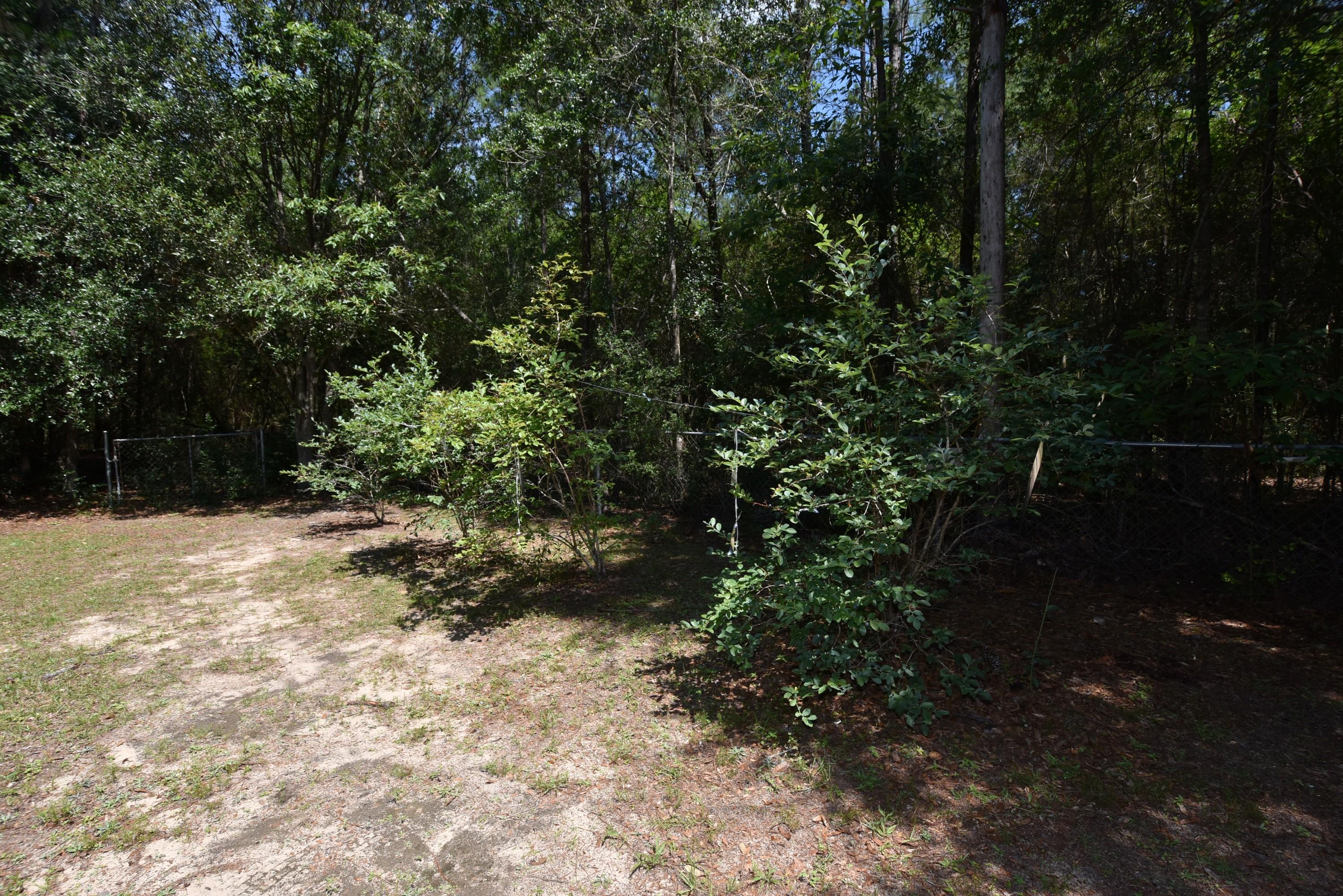 6008 Old Hickory Road Crestview, FL 32539 - Photo 50 of 57 a view of outdoor space and trees