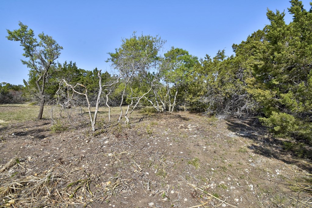 Lot 25 Hidden Valley Ranch Road, Unit 25 Johnson City, TX 78636 - Photo 9 of 36 Gallery Image 9