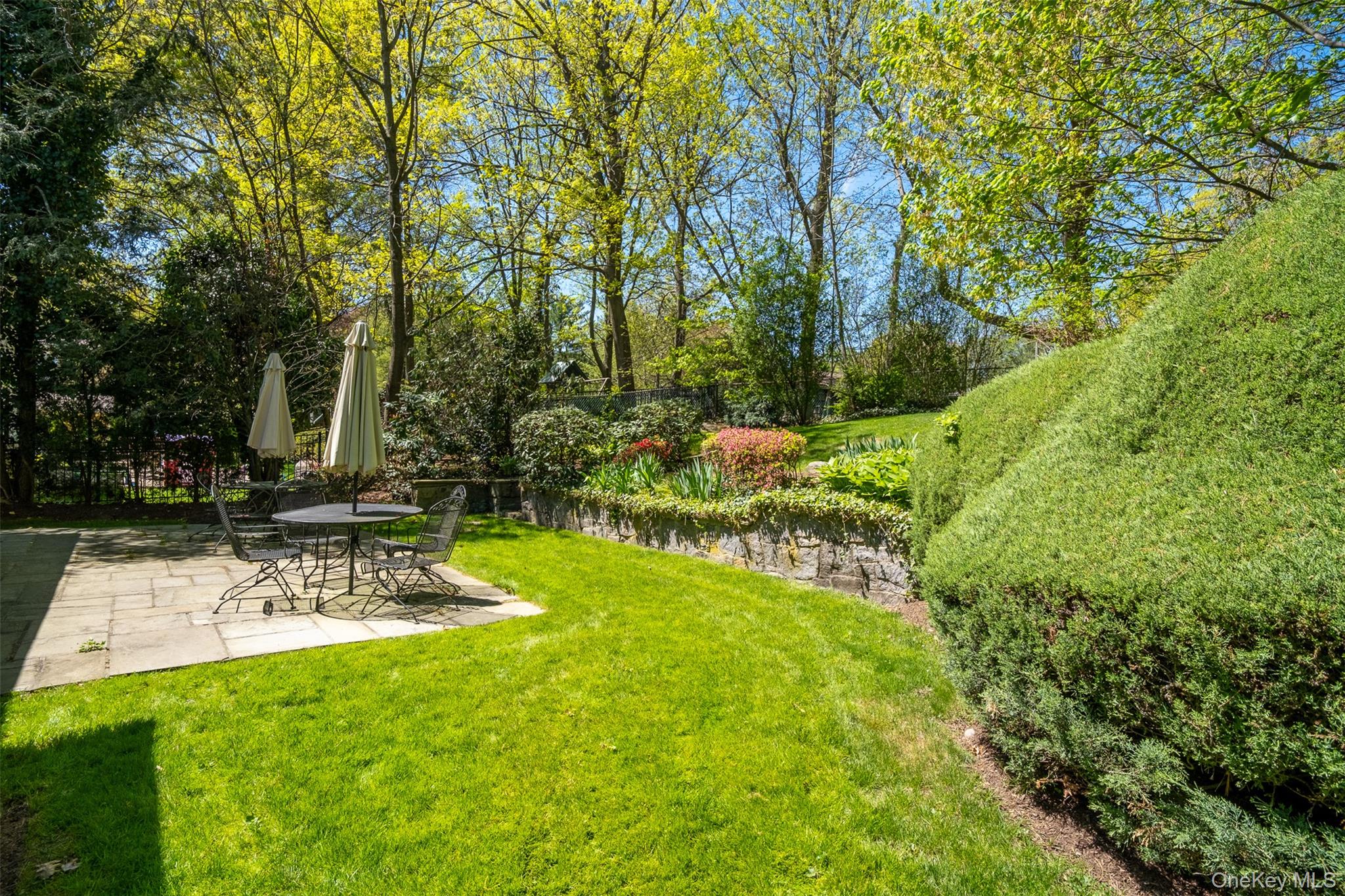 24 Sheldrake Place New Rochelle, NY 10804 - Photo 19 of 26 View of green lawn with a patio