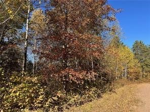 0 Dana Road Solon Springs, WI 54873 - Photo 12 of 14
