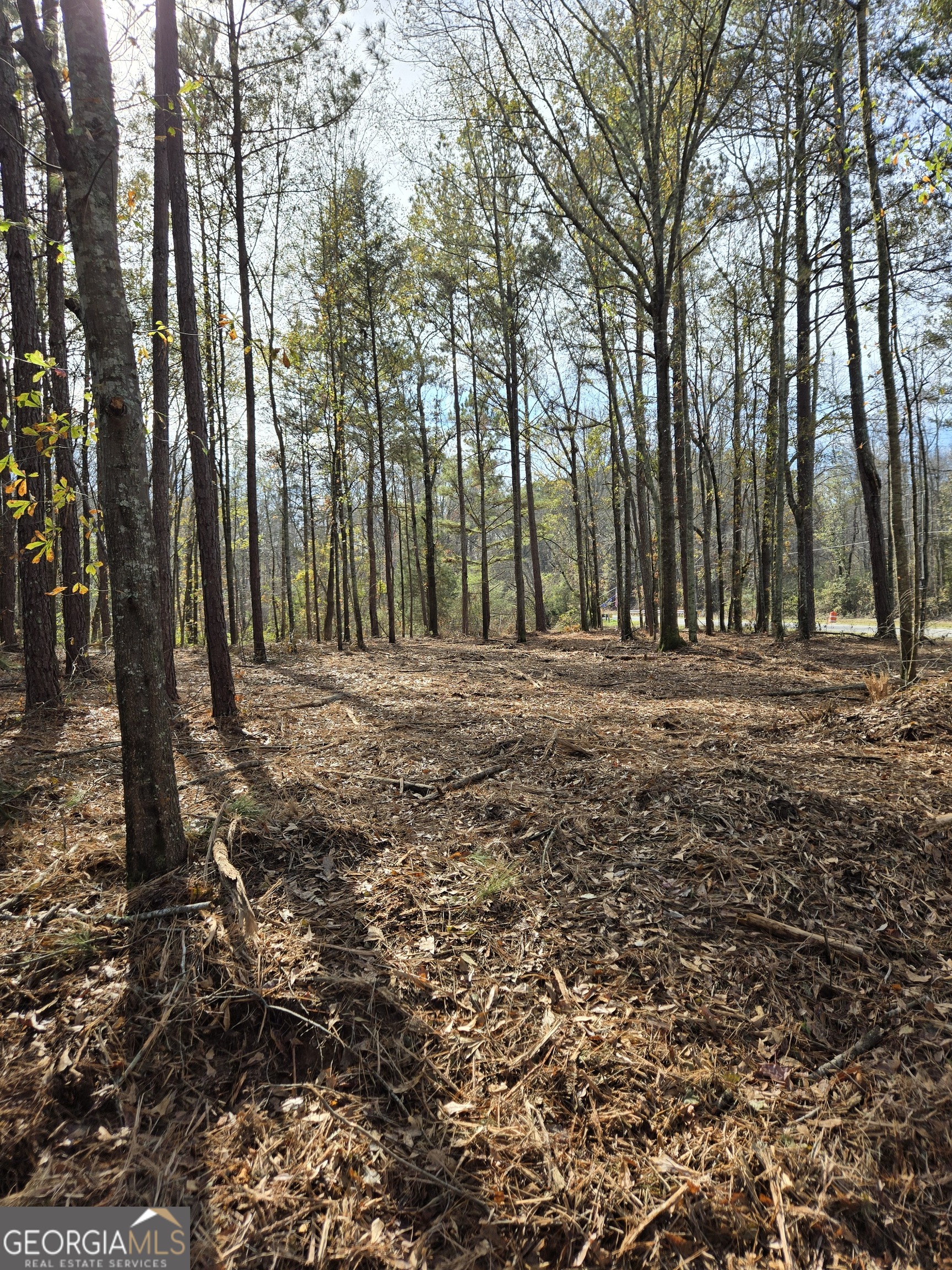 -yatesville R Yatesville Road Barnesville, GA 30204 - Photo 4 of 11