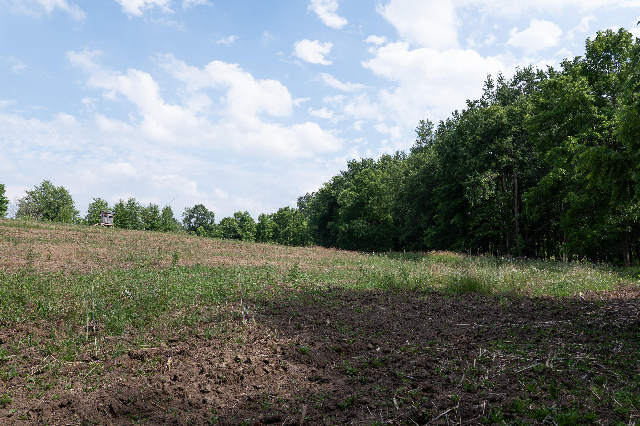 3282 Jerome Road North North Adams, MI 49262 - Photo 15 of 34 P1067849