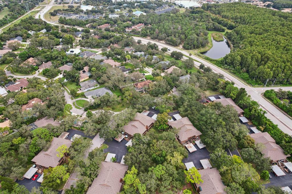 2407 Cypress Pond Road, Unit 2407 Palm Harbor, FL 34683 - Photo 23 of 28 an aerial view of residential house with outdoor space and trees