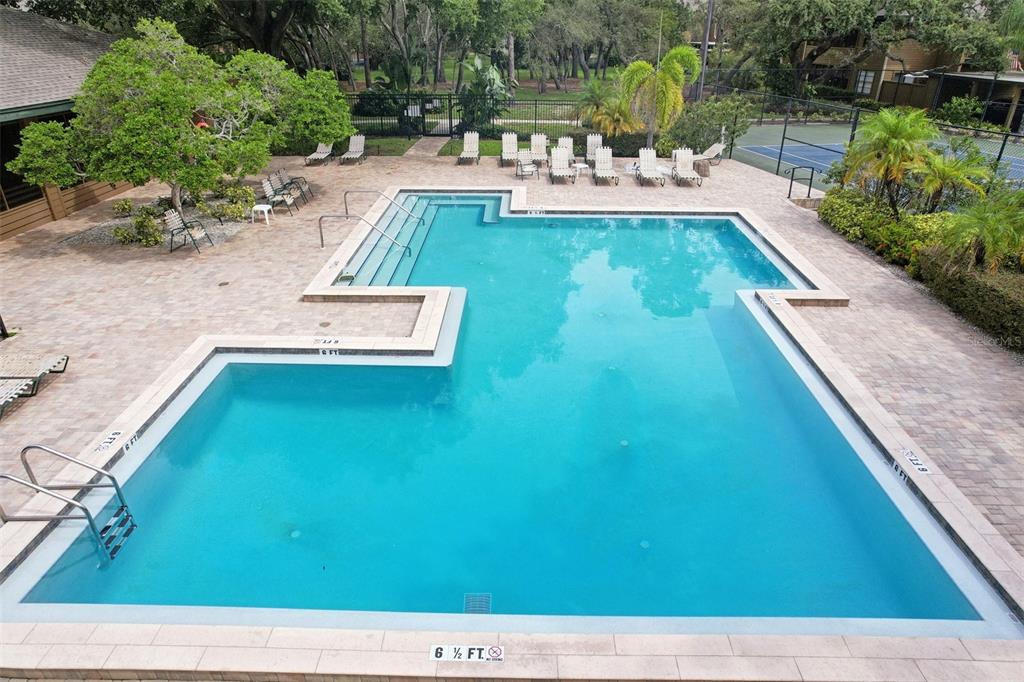 2407 Cypress Pond Road, Unit 2407 Palm Harbor, FL 34683 - Photo 28 of 28 a view of a swimming pool with a patio