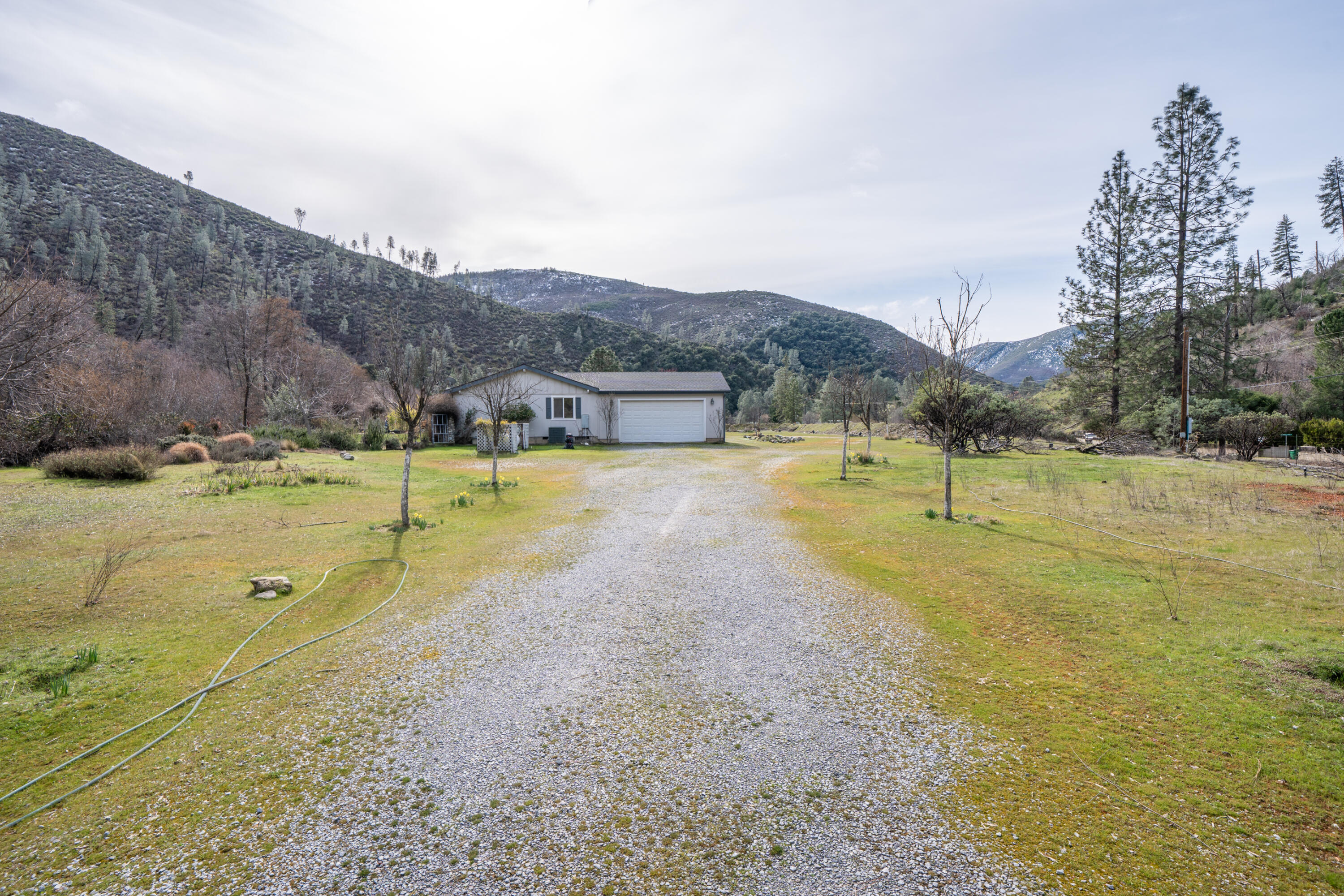 14925 Trinity Mountain Rd-1