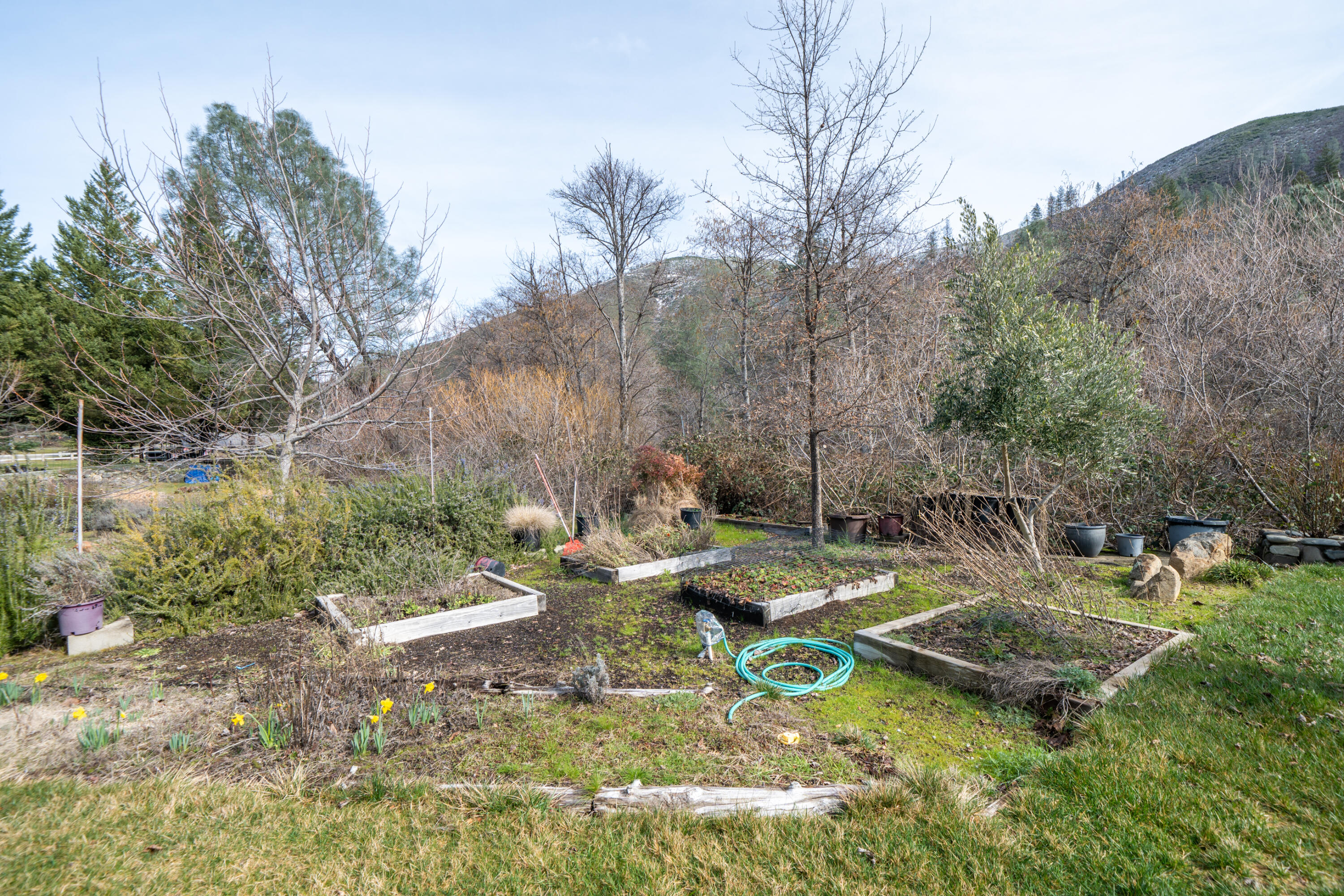 14925 Trinity Mountain Road French Gulch, CA 96033 - Photo 47 of 88 14925 Trinity Mountain Rd-47