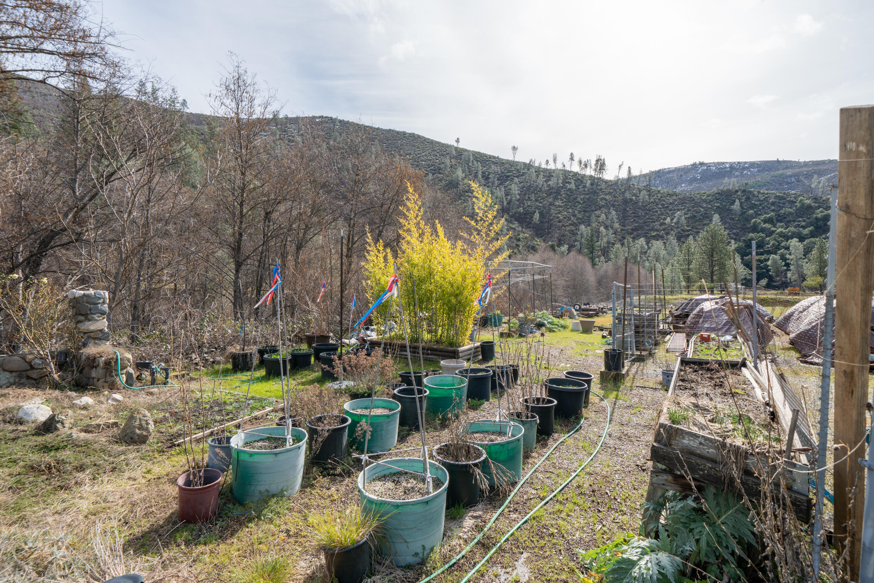 14925 Trinity Mountain Road French Gulch, CA 96033 - Photo 49 of 88 14925 Trinity Mountain Rd-49