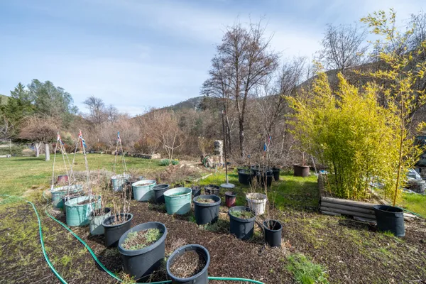 $389,000 | 14925 Trinity Mountain Road, French Gulch, CA 96033