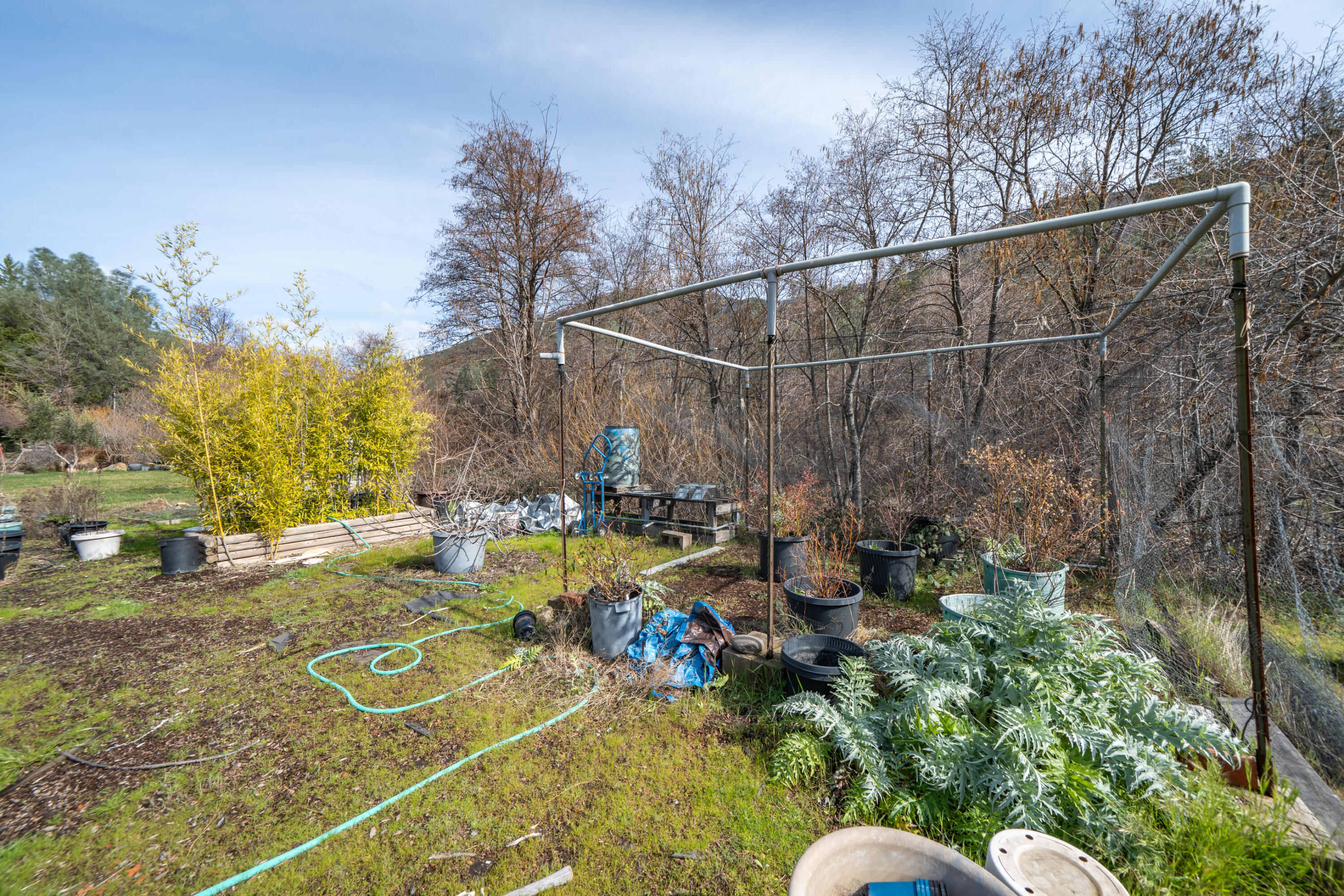 14925 Trinity Mountain Road French Gulch, CA 96033 - Photo 51 of 88 14925 Trinity Mountain Rd-51