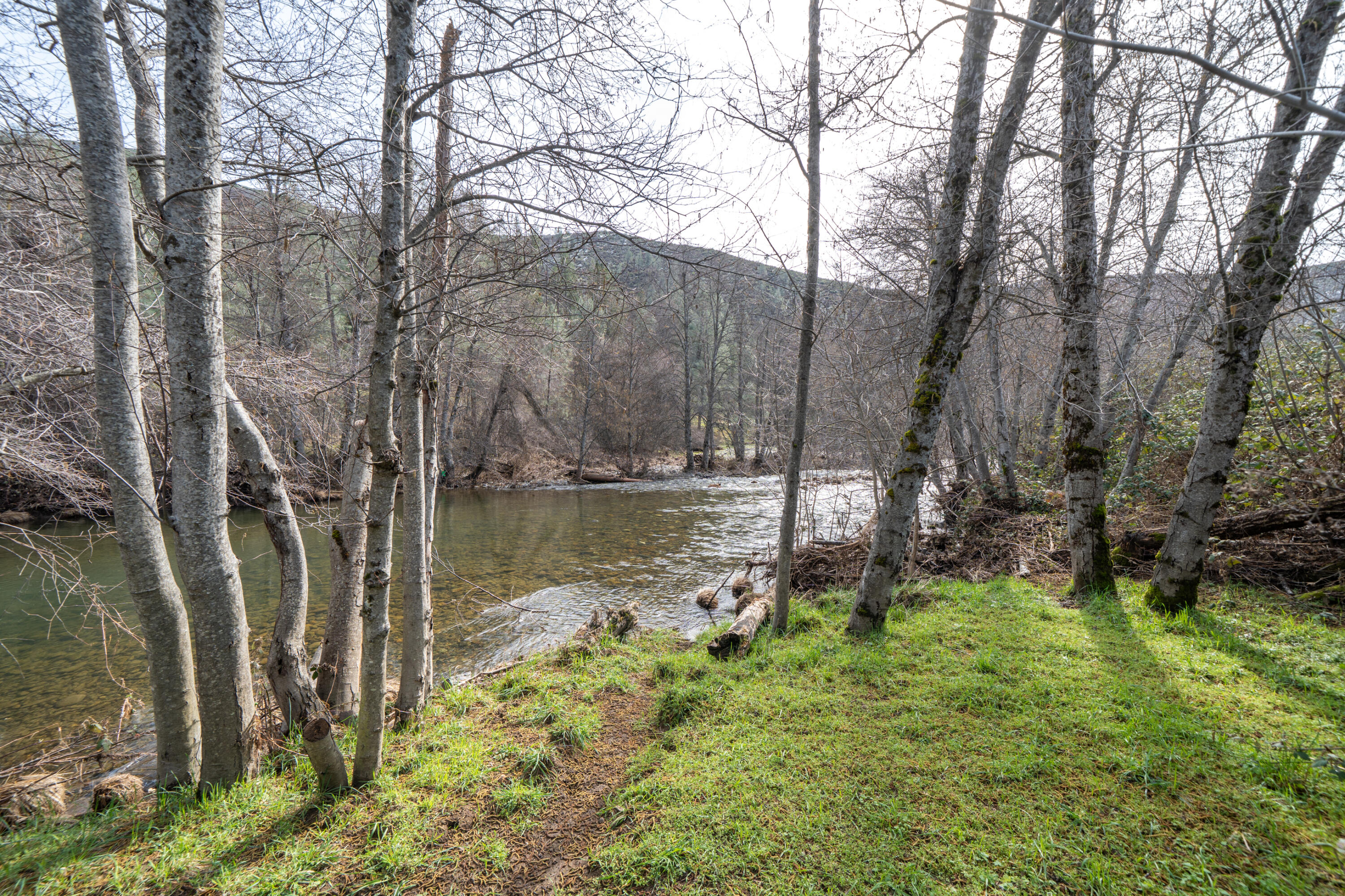 14925 Trinity Mountain Road French Gulch, CA 96033 - Photo 59 of 88 14925 Trinity Mountain Rd-59