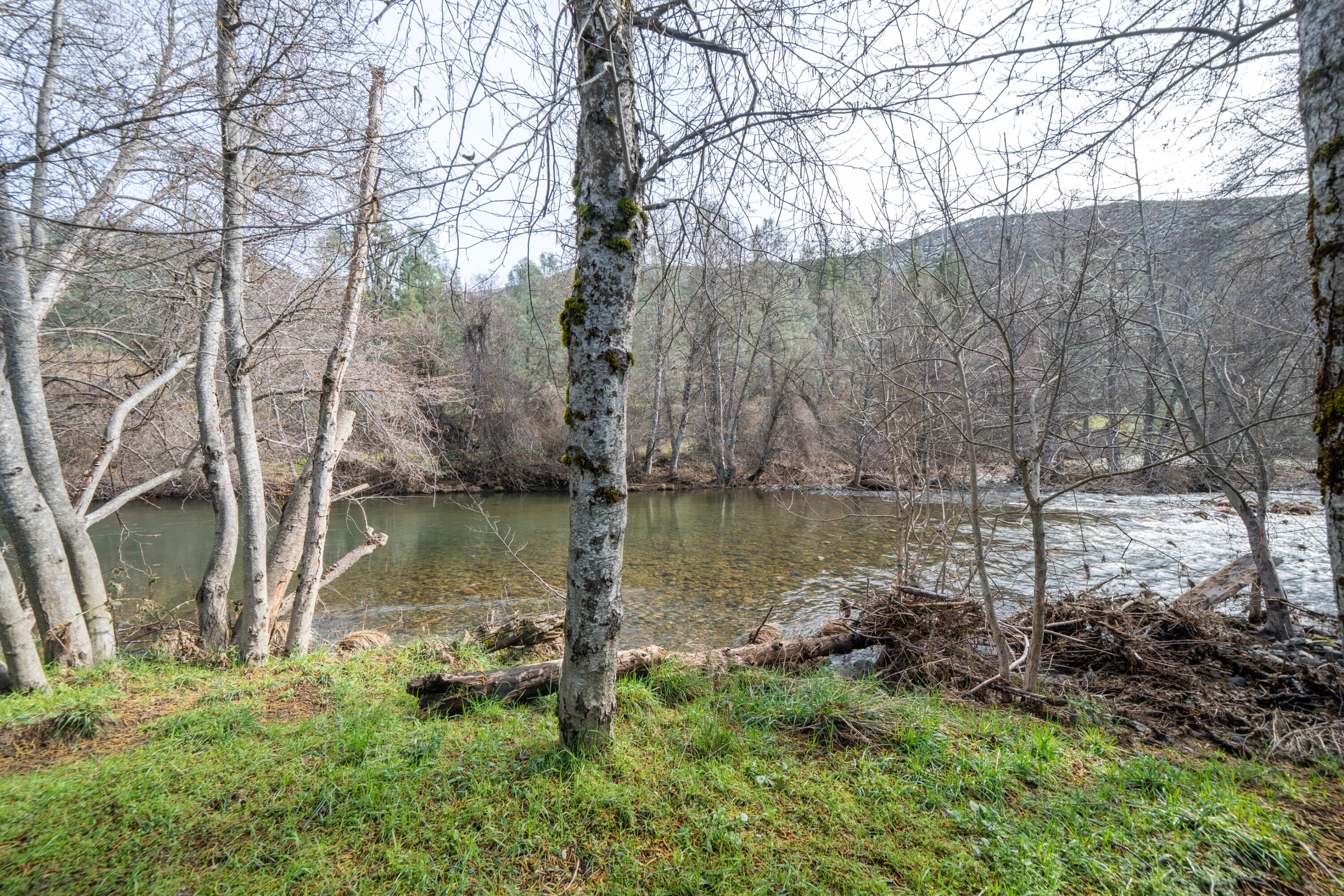 14925 Trinity Mountain Road French Gulch, CA 96033 - Photo 60 of 88 14925 Trinity Mountain Rd-60