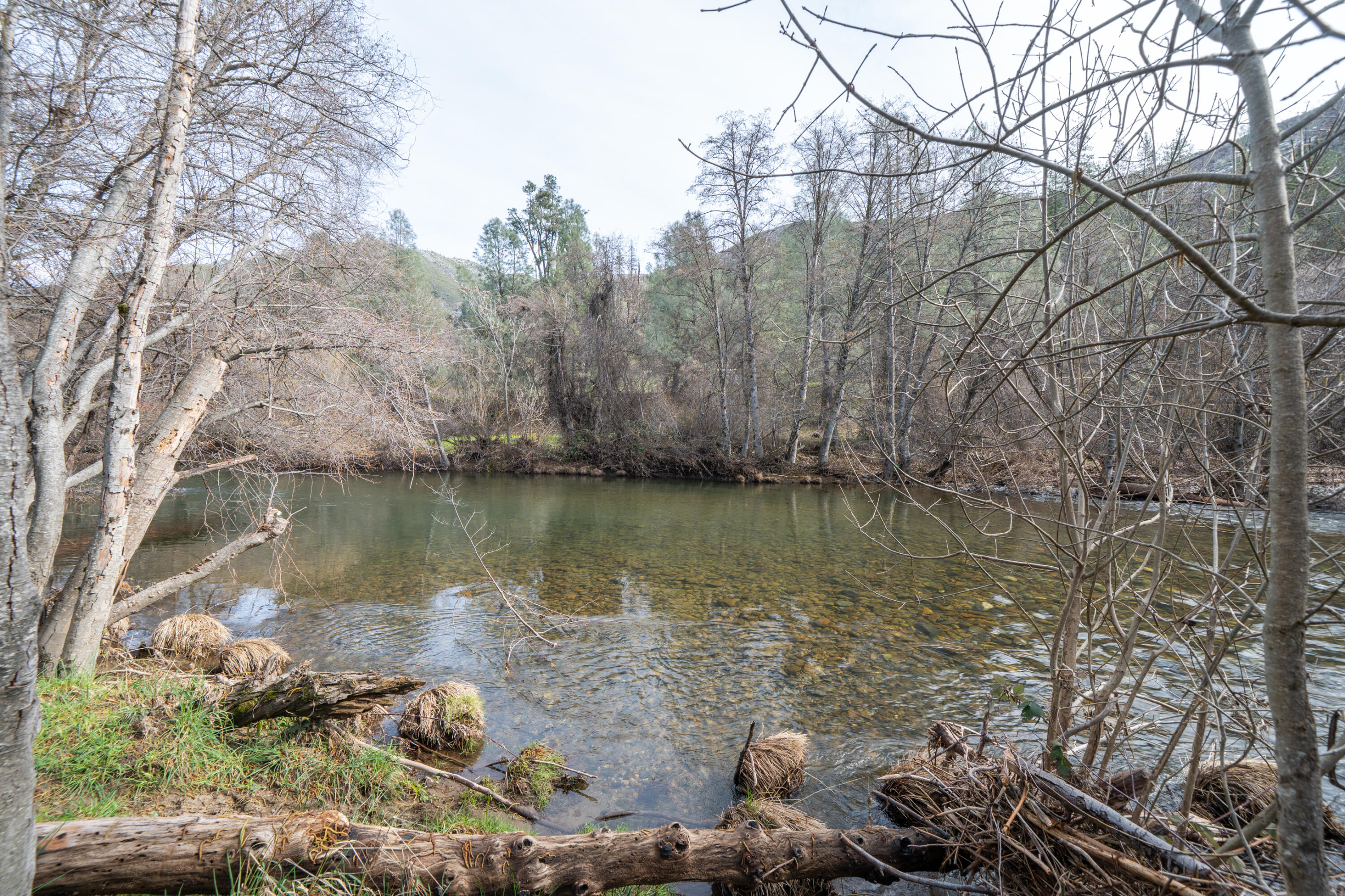 14925 Trinity Mountain Road French Gulch, CA 96033 - Photo 61 of 88 14925 Trinity Mountain Rd-61