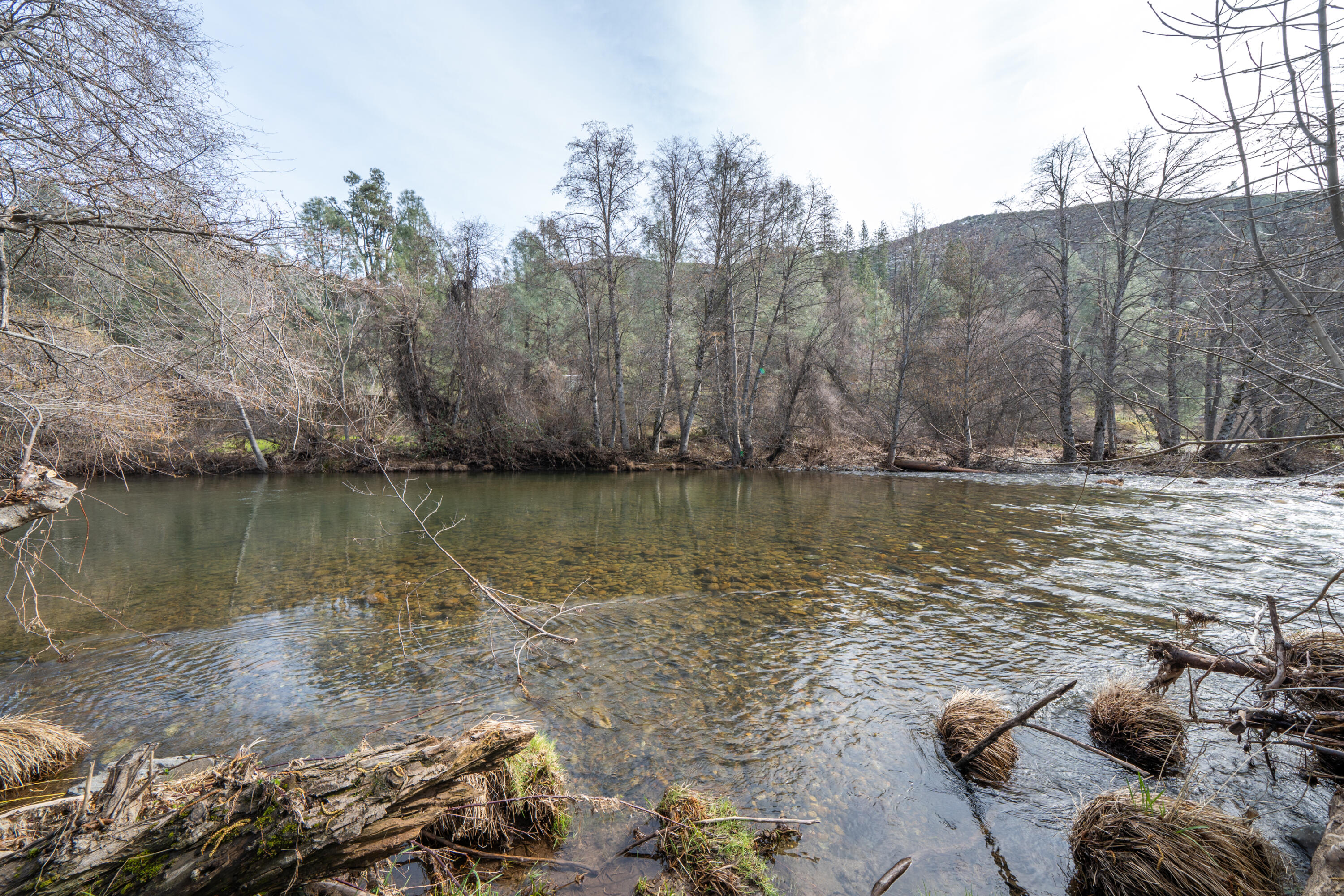 14925 Trinity Mountain Road French Gulch, CA 96033 - Photo 62 of 88 14925 Trinity Mountain Rd-62