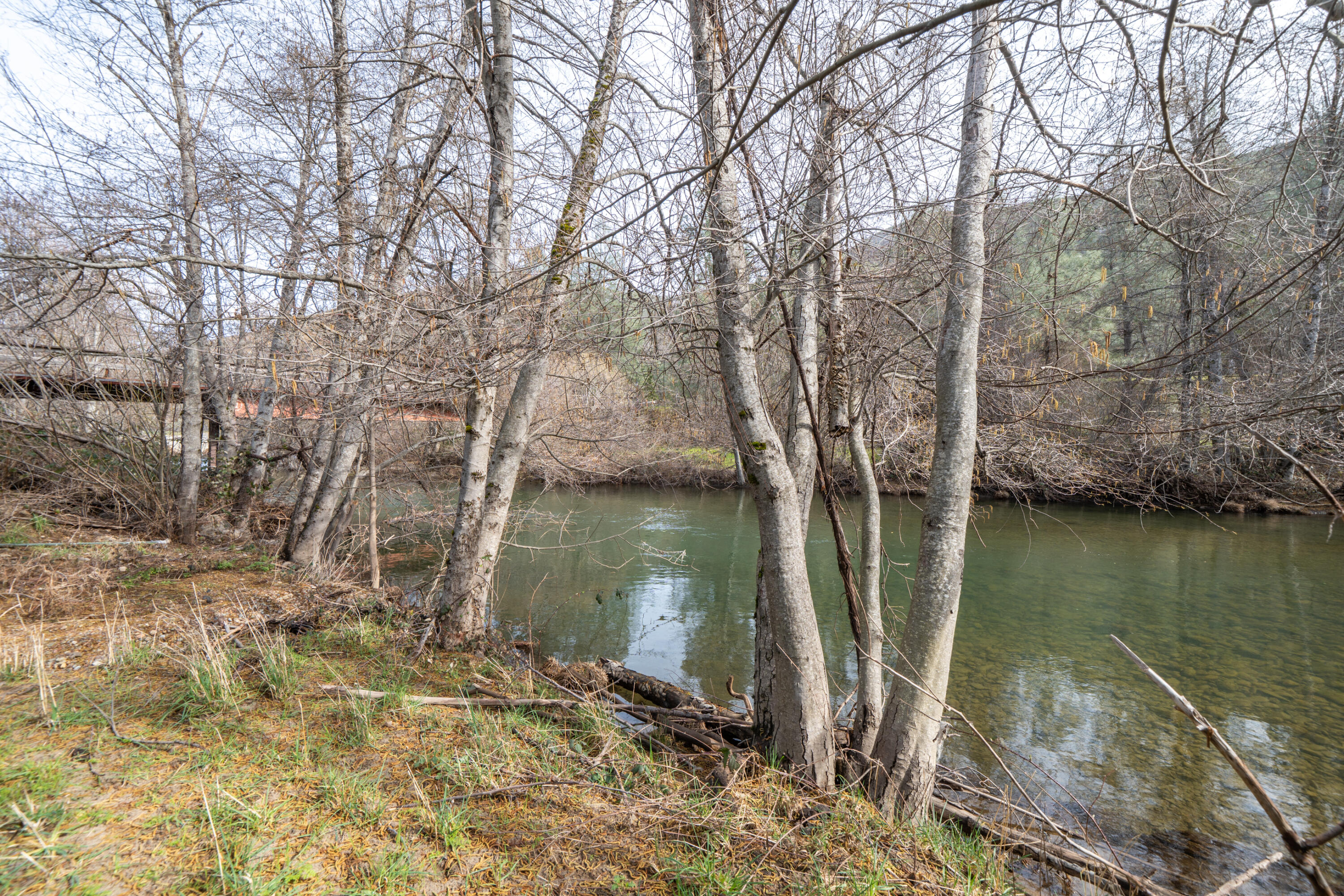 14925 Trinity Mountain Road French Gulch, CA 96033 - Photo 63 of 88 14925 Trinity Mountain Rd-63