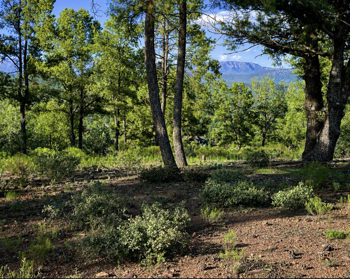701 North Graham Ranch Road Payson, AZ 85541 - Photo 13 of 18 Gallery Image 13