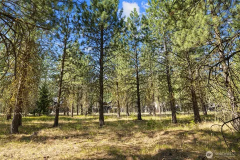 a view of park space