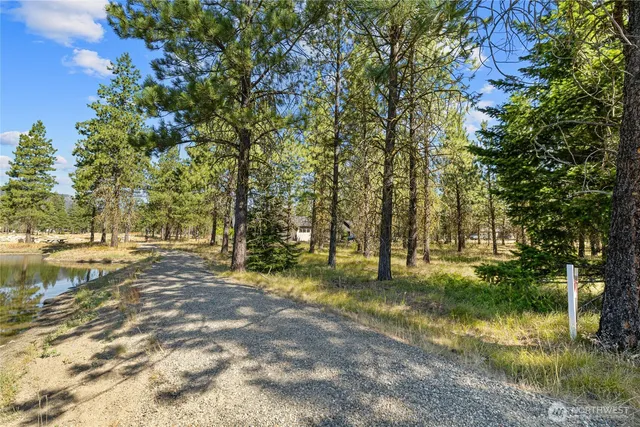 a view of a lake with a trees