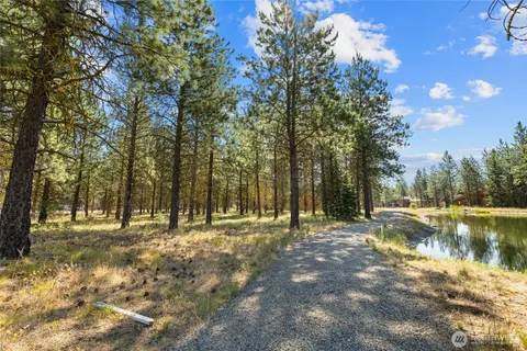 a view of a yard and trees in the background