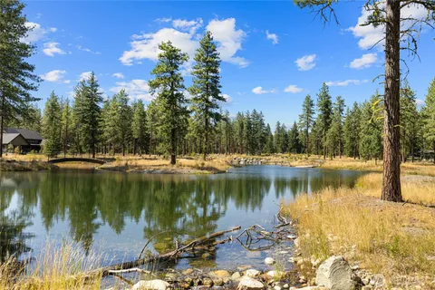 a view of a garden with a plant