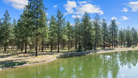 a view of a city with lush green forest
