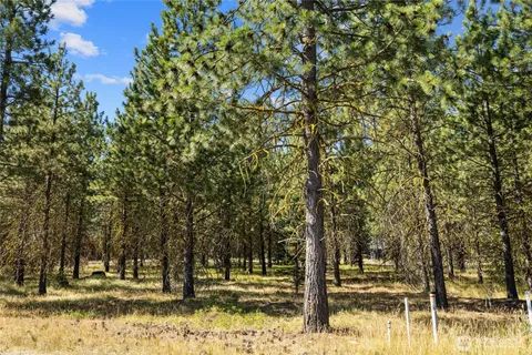 a view of outdoor space with trees