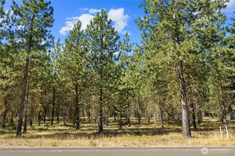 a view of a yard with plants