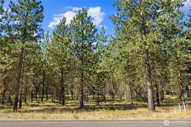 a view of a yard with plants